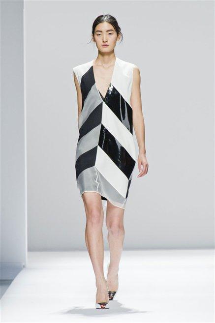 Sportmax 1