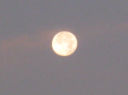 Luna fiorentina.