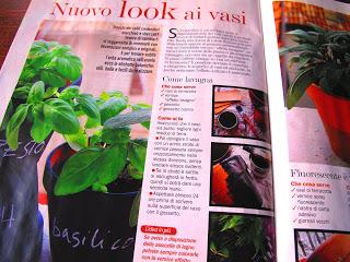 Nuovo look ai vasi _Casa in fiore di marzo