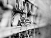 Sicurezza ancora centro mirino