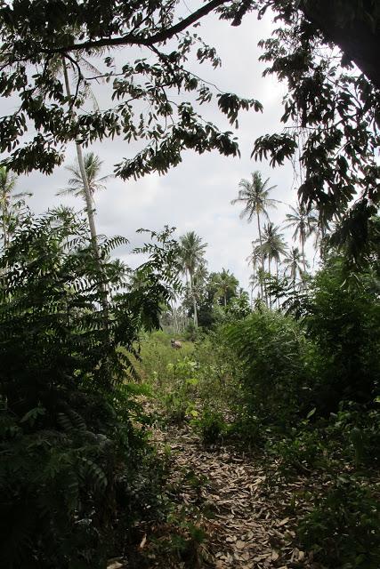 L´Isola delle spezie_Zanzibar