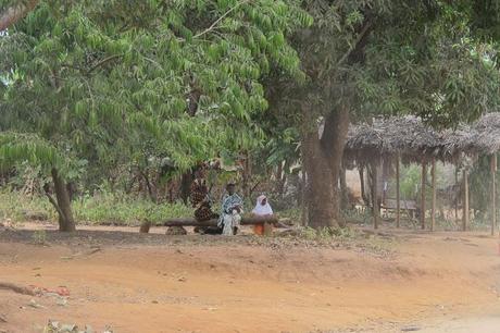 L´Isola delle spezie_Zanzibar