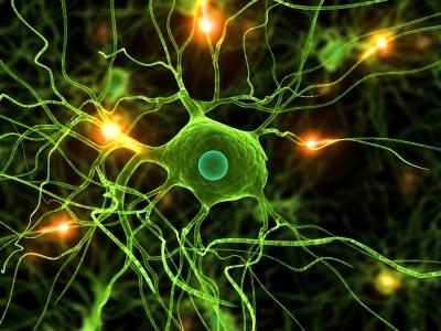 Sciopero della fame per 50 persone affette da malattie neurodegenerative, Sla, Sclerosi Multipla e distrofia muscolare