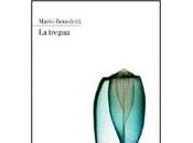 tregua