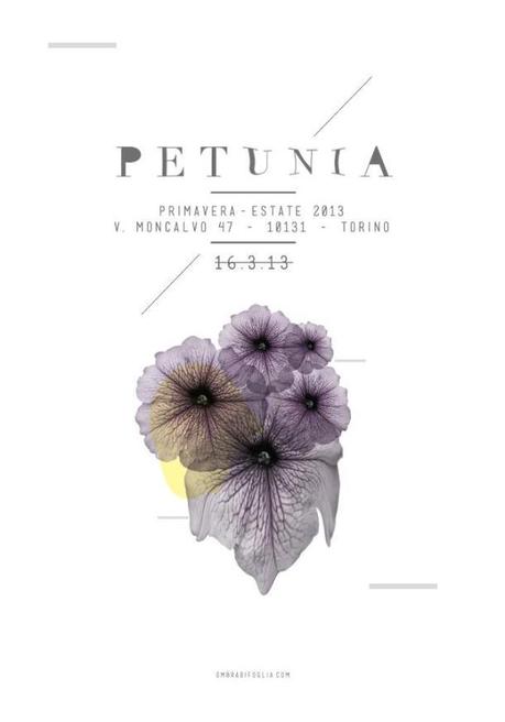 petunia