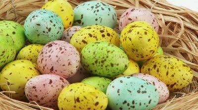 stock-footage-coloured-quails-eggs-in-easter-nest