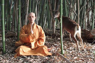 Video documentario - La forza fisica e spirituale dei Monaci Shaolin che da millenni hanno un'alimentazione vegetariana o vegana