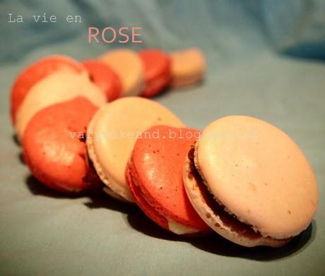 Enfin les macarons