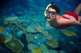 Snorkelling e immersioni a Vatulele Island Resort