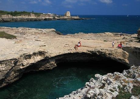 L’allevamento delle Orate e del Sarago pizzuto nel Salento leccese