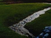 Onde, martedì