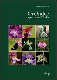 Ma quante belle orchidee, Madama Doré, oh quante belle orchidee…