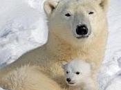 Viaggiare tempi della neve