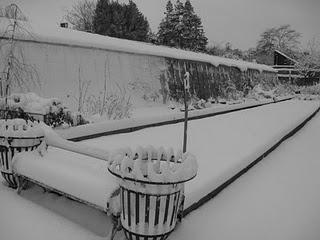 I fiocchi di neve iniziano a cadere... I fiocchi di neve iniziano a cadere...