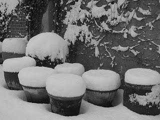 I fiocchi di neve iniziano a cadere... I fiocchi di neve iniziano a cadere...