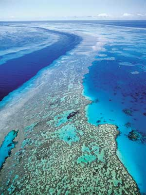 Una vista aerea del Fiji Great Sea Reef