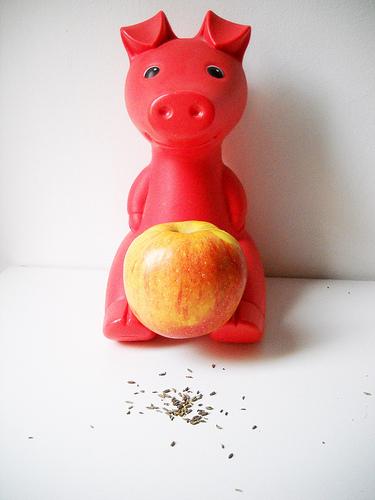A pig..and an apple: good!
