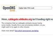 Wikileaks oscurato