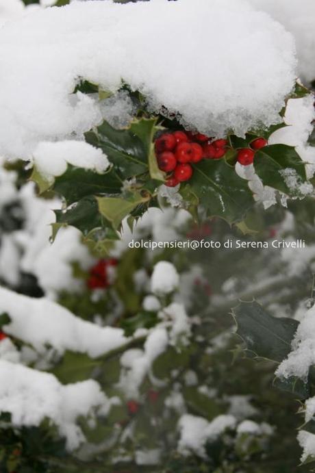 SOTTO LA NEVE… qualche scatto