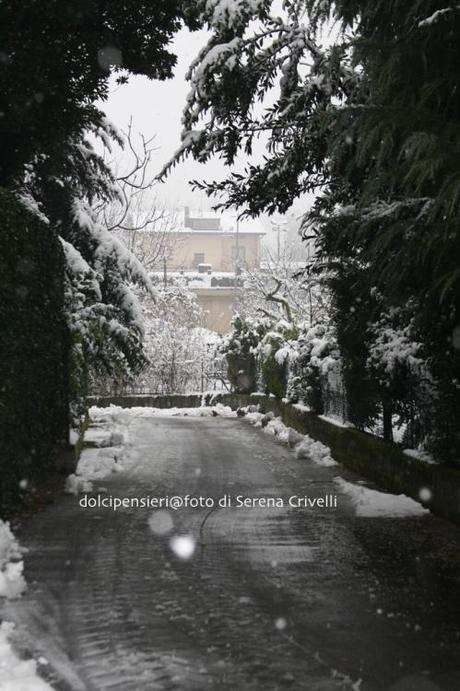 SOTTO LA NEVE… qualche scatto