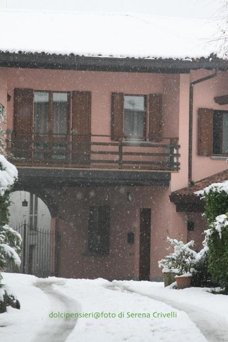 SOTTO LA NEVE… qualche scatto