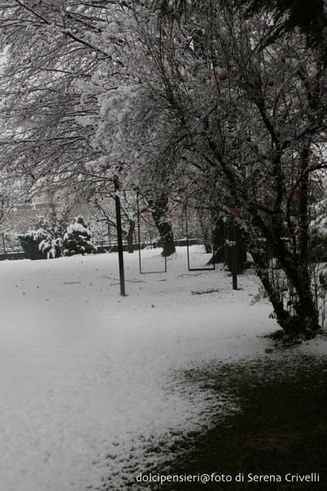 SOTTO LA NEVE… qualche scatto