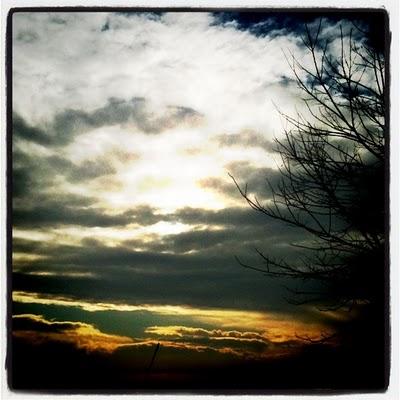 365project • pic 97/365