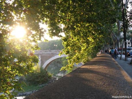 Per vie e per viali…ecco le luci: alcune vive, alcune morte