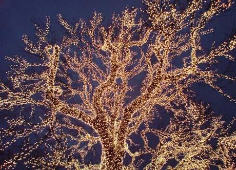 Per vie e per viali…ecco le luci: alcune vive, alcune morte