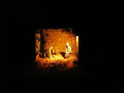 Per vie e per viali…ecco le luci: alcune vive, alcune morte