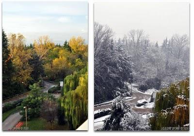 Quando...Quando...Quando...