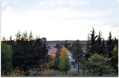 Quando...Quando...Quando...