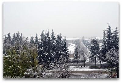 Quando...Quando...Quando...