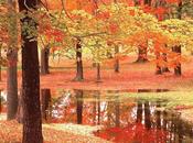 Autunno poesia della natura