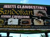 Caccia all’immigrato