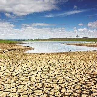 Siamo acqua in un mondo di acqua.