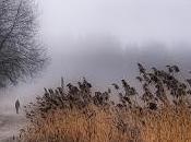 Novembre