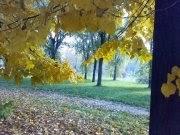 CON ALTI E BASSI E COLORI DIVERSI  L'INVERNO CONTINUA