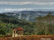 avvicina l'estate Martino