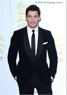 British Fashion Awards 2010: David Gandy