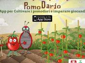 Pomodario: piu’ piccoli