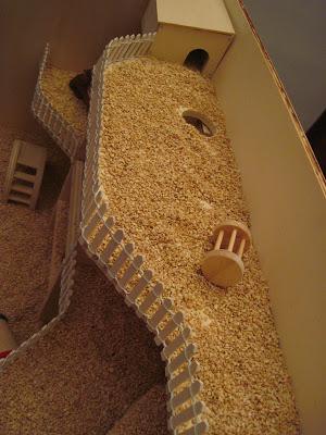 Hamster House