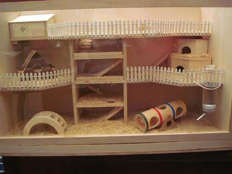 Hamster House