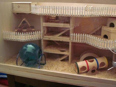 Hamster House