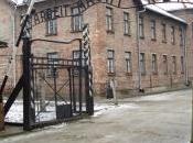 Cerca gemello Jeno Gottesmann tramite Facebook, social network servizio sopravvissuto Auschwitz