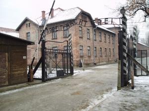 Cerca il suo gemello Jeno Gottesmann tramite Facebook, il social network al servizio di un sopravvissuto di Auschwitz 