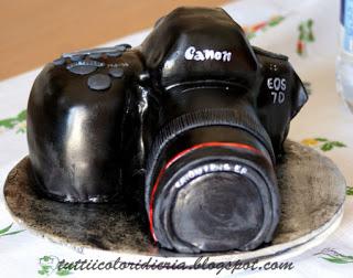 Coccinella cake e reflex cake