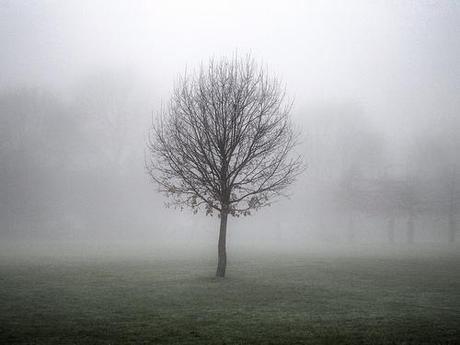 Lost in the fog Explored #25 8th January by broo_am, on Flickr