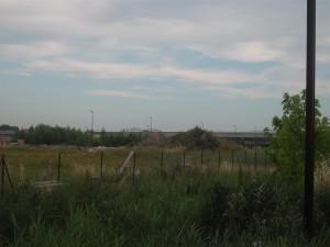 Gigliati – Azalee:  acqua sul fuoco, e la polemica sale di livello.