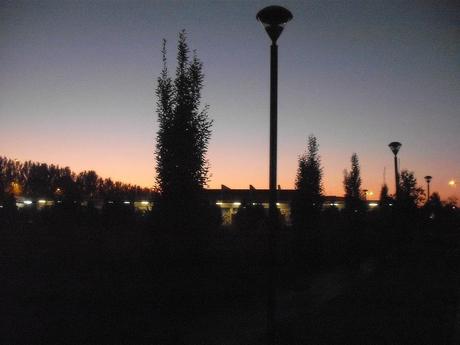 Gigliati – Azalee:  acqua sul fuoco, e la polemica sale di livello.